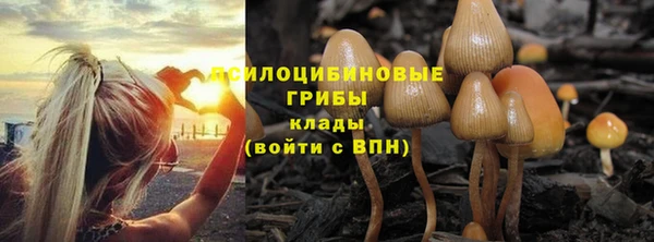 гидра Верхний Тагил