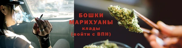 гидра Верхний Тагил