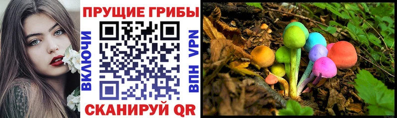 Галлюциногенные грибы Magic Shrooms  Купить где  Биробиджан 
